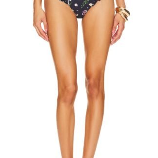 Jengibre Tesoro Bottom