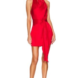 x REVOLVE Sandrine Dress