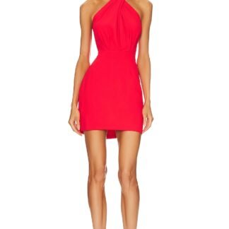 x REVOLVE Mezcal Dress