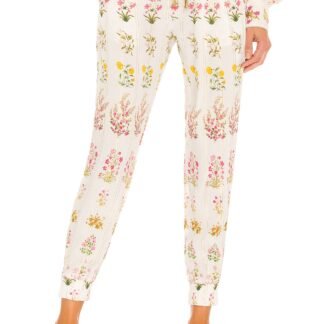 Miyu Pant