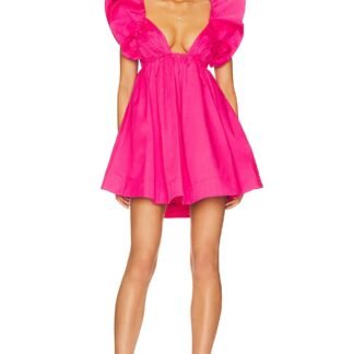 Clementine Mini Dress