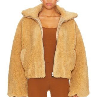 Get Cozy Teddy