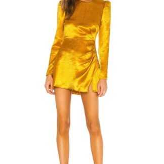 x REVOLVE Krisha Mini Dress