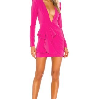 x REVOLVE Fena Mini Dress