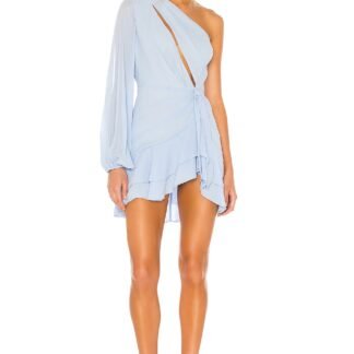 x REVOLVE Sunny Mini Dress