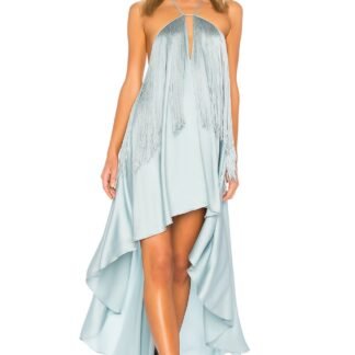 x REVOLVE Generosity Dress