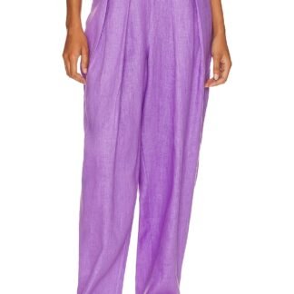 Darine Pant