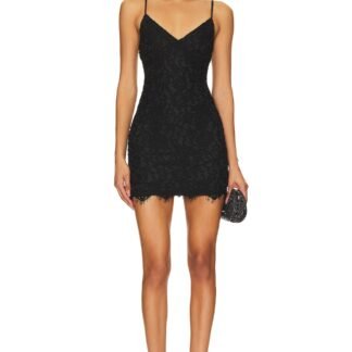 Aurora Lace Mini Dress