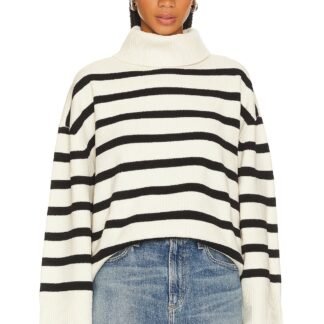 Striped Turtle Neck